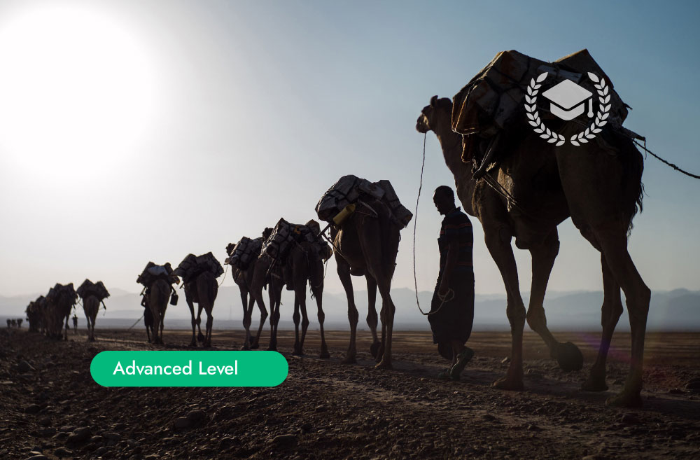 Learn Somali Language Advanced Level